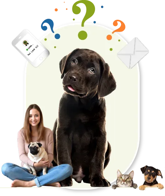 PetLaudContactPgAsset 2